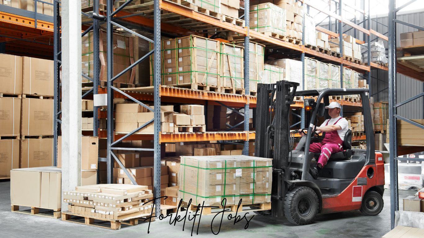 Best Forklift Jobs 2024: How to Apply – Top Guide post thumbnail image