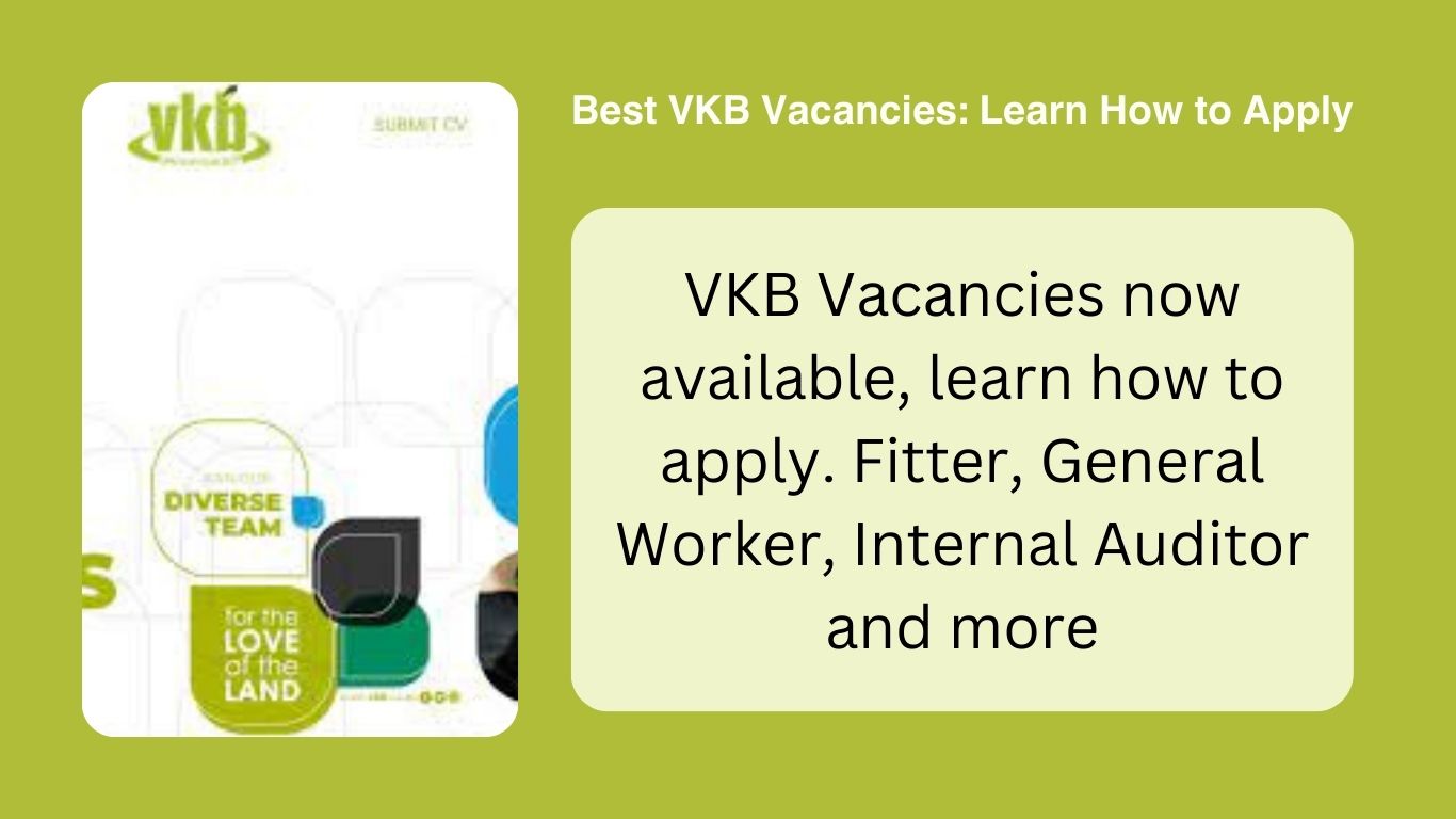 Best VKB Vacancies 2024: Learn How to Apply