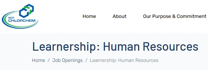 Learnership: Human Resources
