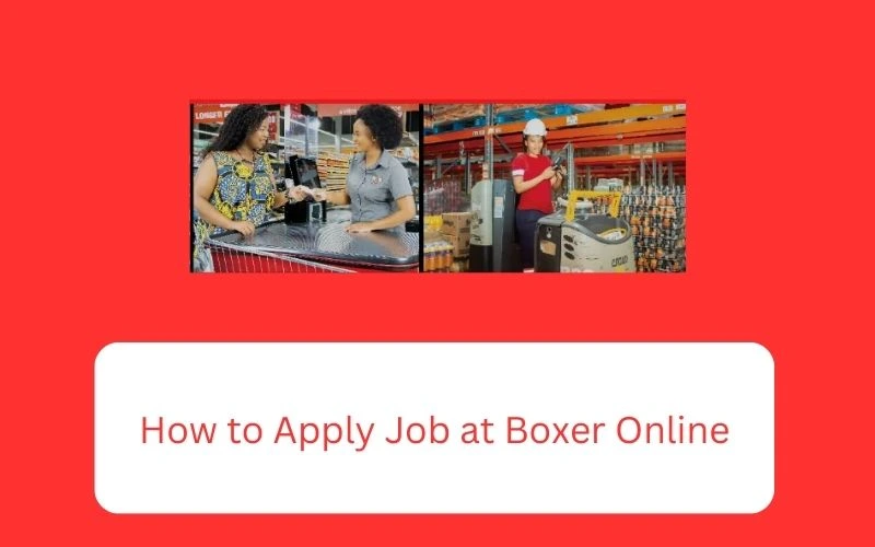 How to Apply Job at Boxer Online: Best Boxer Vacancies 2025